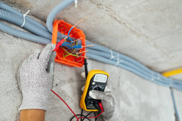 Best Electric Panel Repair  in Sandoval, IL